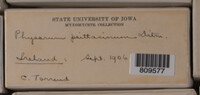 Image Associated With the Occurence